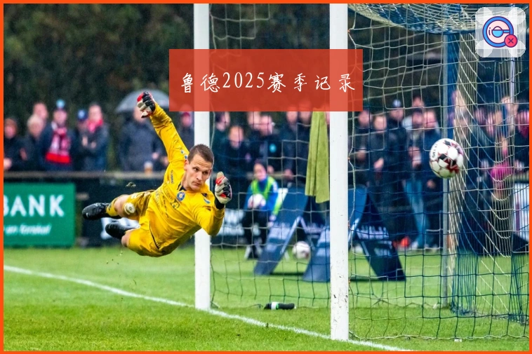 鲁德2025赛季记录