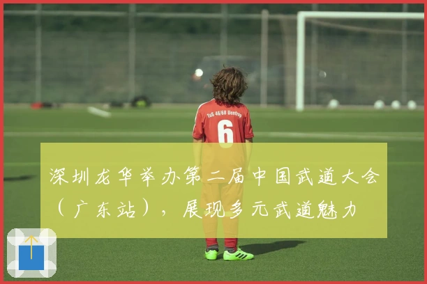 深圳龙华举办第二届中国武道大会（广东站），展现多元武道魅力