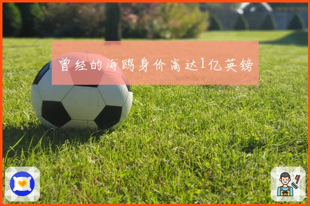 曾经的海鸥身价高达1亿英镑