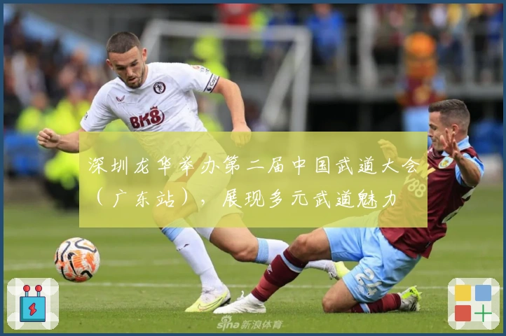 深圳龙华举办第二届中国武道大会（广东站），展现多元武道魅力