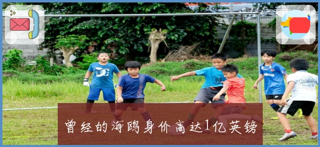 曾经的海鸥身价高达1亿英镑